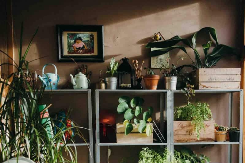 planten kast urban jungle interieur planten kast urban jungle interieur