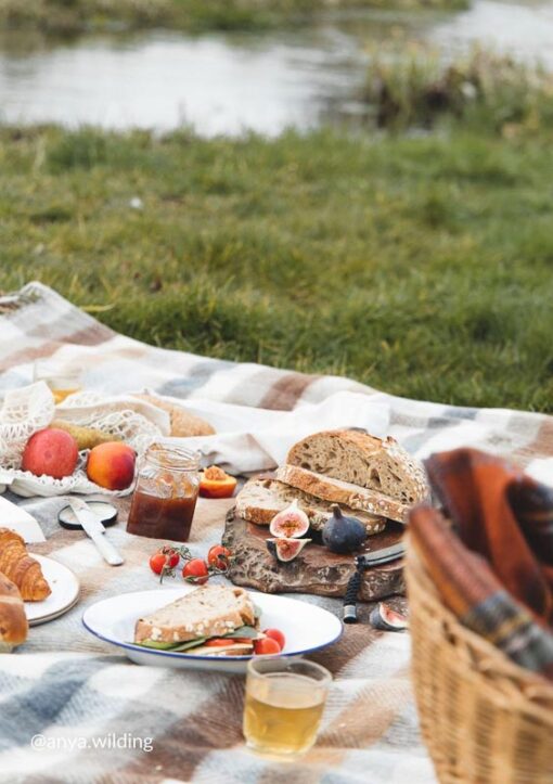 picknickkleed beige ruiten bruin wol