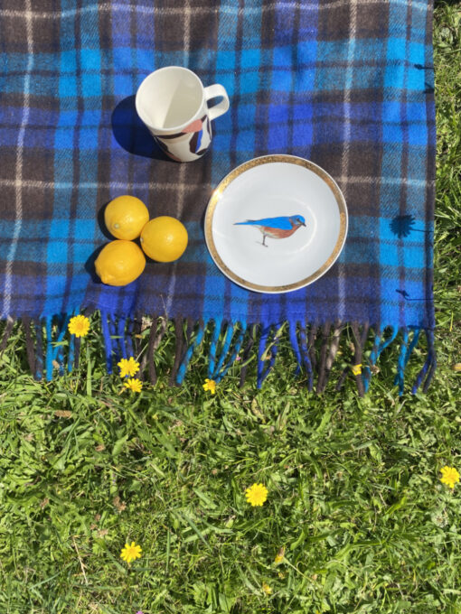 picknickkleed blauw bruin ruiten