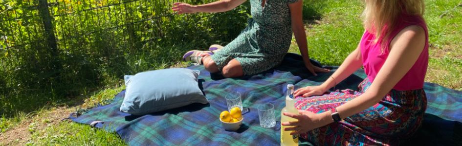 blog over keuze picknickkleed