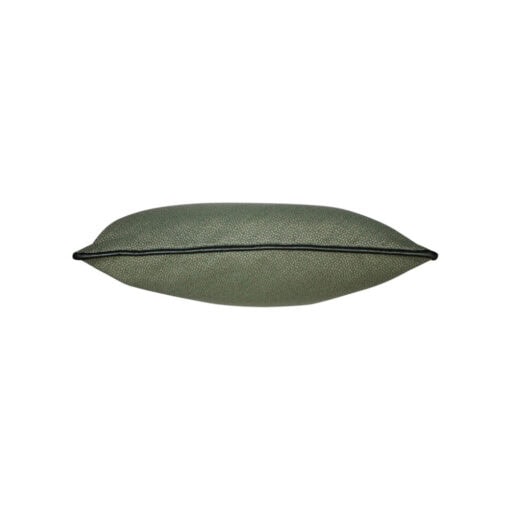 sierkussen groen raaf sven