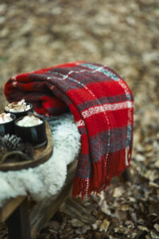 plaid rood met ruiten klippan snuggle red