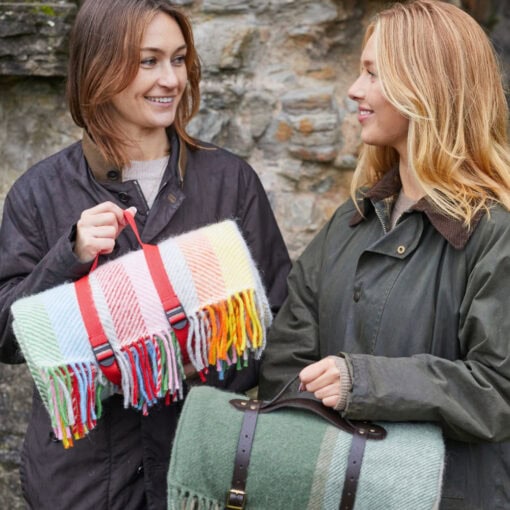 gestreept wollen picknick kleed grijs multicolour tweedmill rainbow grey stripe