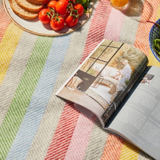 kleurrijk picknickkleed grijs multicolour wol tweedmill rainbow grey stripe