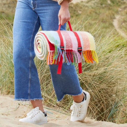 picknick kleed grijs multicolour wol tweedmill rainbow grey stripe