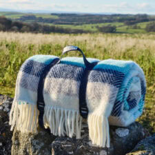 wollen picknickkleed blauw multicolour tweedmill seashore stripe